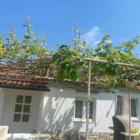 Apartamento Apartman Nela Poreč Exterior foto
